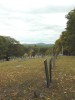 View of Hillside Cemetery from the far back corner