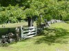 Entrance to Maplewood Cemetery, Boscawen NH