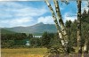 Birch Trees and View of New Hampshire
